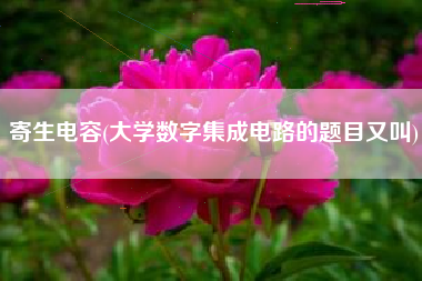 寄生电容(大学数字集成电路的题目又叫)