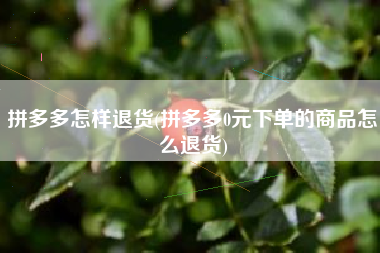 拼多多怎样退货(拼多多0元下单的商品怎么退货)
