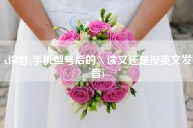 x读音(手机型号后的Ⅹ读叉还是按英文发音)