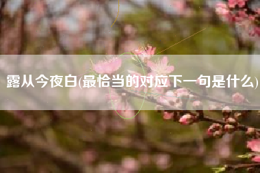 详细阅读:露从今夜白(最恰当的对应下一句是什么) 露从今夜白(最恰当的对应下一句是什么)