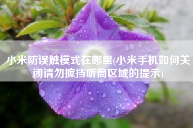 小米防误触模式在哪里(小米手机如何关闭请勿摭挡听筒区域的提示)