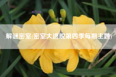 解谜密室(密室大逃脱第四季每期主题)