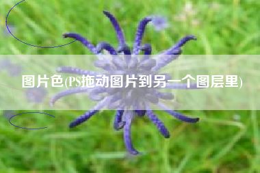 图片色(PS拖动图片到另一个图层里)