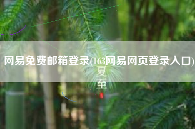 网易免费邮箱登录(163网易网页登录入口)