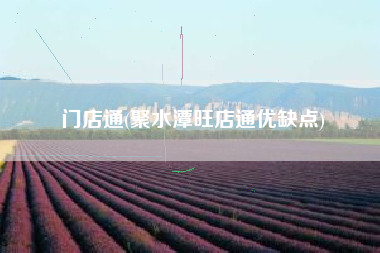 门店通(聚水潭旺店通优缺点)