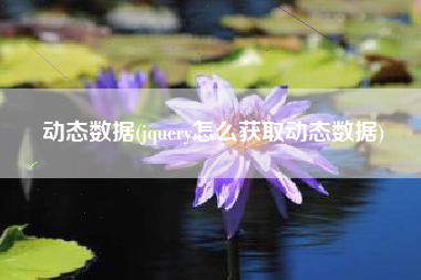 动态数据(jquery怎么获取动态数据)