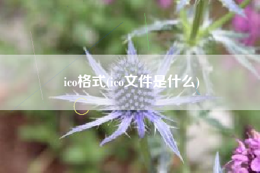 ico格式(ico文件是什么)
