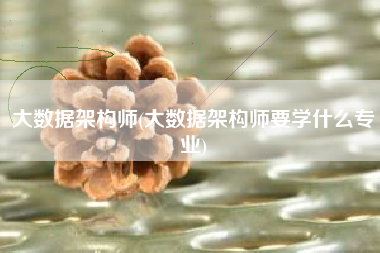 大数据架构师(大数据架构师要学什么专业)