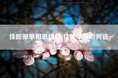 佳能微单相机排行(佳能单反如何选)
