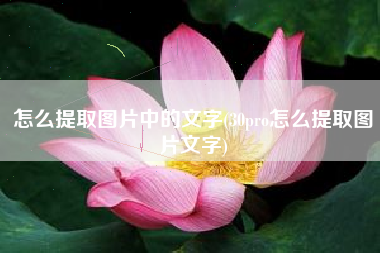 怎么提取图片中的文字(30pro怎么提取图片文字)