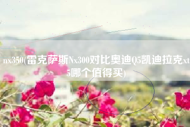 nx350(雷克萨斯Nx300对比奥迪Q5凯迪拉克xt5哪个值得买)