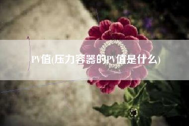 PV值(压力容器的PV值是什么)