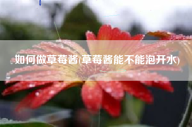 如何做草莓酱(草莓酱能不能泡开水)