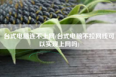 台式电脑连不上网(台式电脑不拉网线可以实现上网吗)