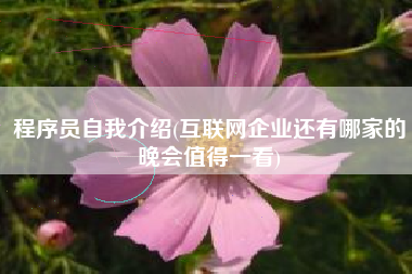 程序员自我介绍(互联网企业还有哪家的晚会值得一看)