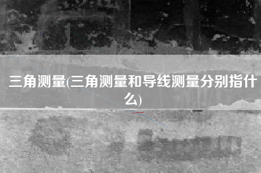 三角测量(三角测量和导线测量分别指什么)