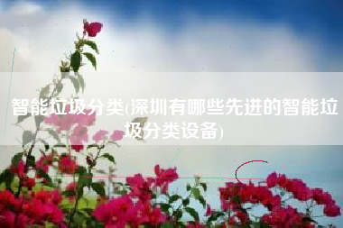 智能垃圾分类(深圳有哪些先进的智能垃圾分类设备)