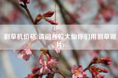 详细阅读:割草机价格(请问各位大仙你们用割草锯片) 割草机价格(请问各位大仙你们用割草锯片)