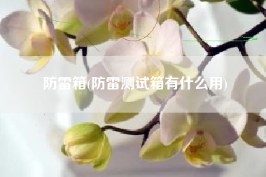 防雷箱(防雷测试箱有什么用)