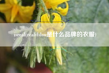 isreal(realvlslon是什么品牌的衣服)
