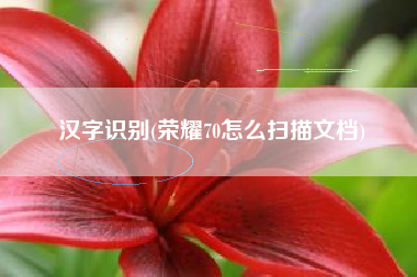 汉字识别(荣耀70怎么扫描文档)