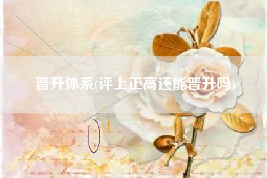 晋升体系(评上正高还能晋升吗)