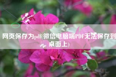 网页保存为pdf(微信电脑端PDF无法保存到桌面上)