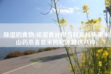 除湿的食物(祛湿食补良方红豆红枣黑米山药燕麦薏米枸杞冰糖这八种)