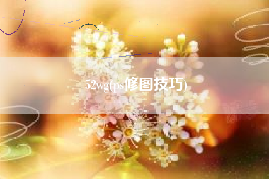 52wg(ps修图技巧)
