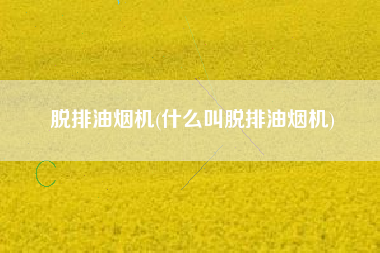脱排油烟机(什么叫脱排油烟机)