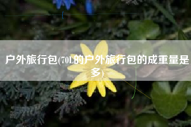 户外旅行包(70L的户外旅行包的成重量是多)