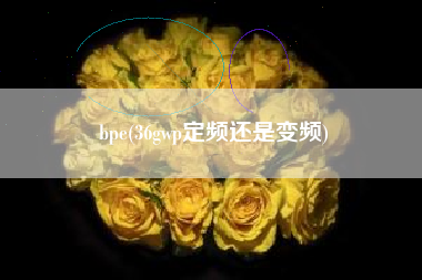 bpe(36gwp定频还是变频)