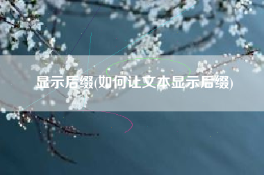 显示后缀(如何让文本显示后缀)