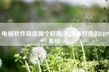 电脑软件商店哪个好用(有哪些好用的ERP系统)