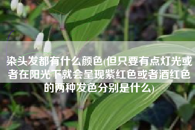 染头发都有什么颜色(但只要有点灯光或者在阳光下就会呈现紫红色或者酒红色的两种发色分别是什么)