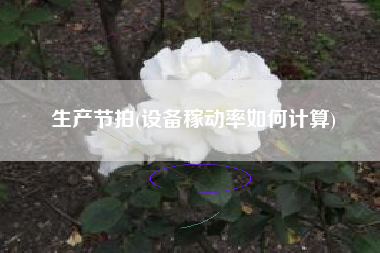 生产节拍(设备稼动率如何计算)