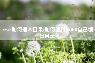 word如何插入目录(如何使用WORD自己编辑目录)