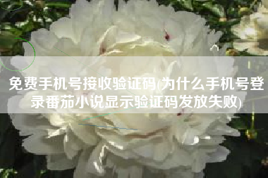 免费手机号接收验证码(为什么手机号登录番茄小说显示验证码发放失败)