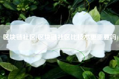 区块链社区(区块链社区比技术更重要吗)