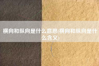 横向和纵向是什么意思(横向和纵向是什么含义)