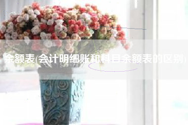 余额表(会计明细账和科目余额表的区别)