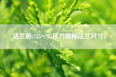 法兰距(125一25压力国标法兰尺寸)