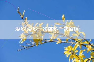 爱多(爱多一次痛多一次原唱)