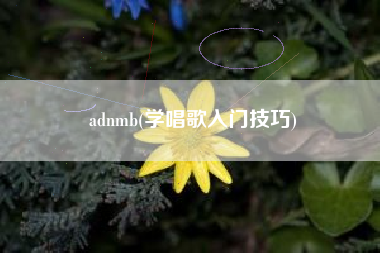 adnmb(学唱歌入门技巧)