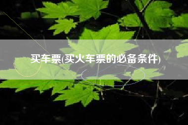 买车票(买火车票的必备条件)