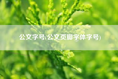 公文字号(公文页脚字体字号)