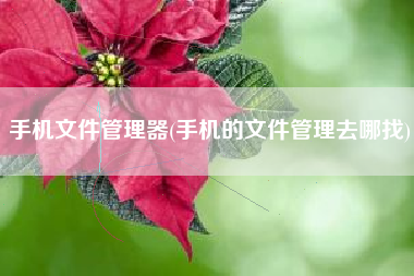 手机文件管理器(手机的文件管理去哪找)