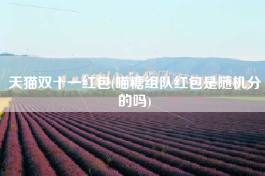 天猫双十一红包(喵糖组队红包是随机分的吗)
