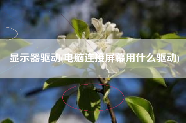 显示器驱动(电脑连接屏幕用什么驱动)