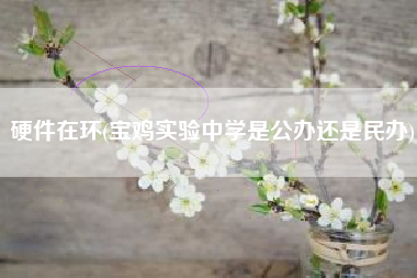 硬件在环(宝鸡实验中学是公办还是民办)